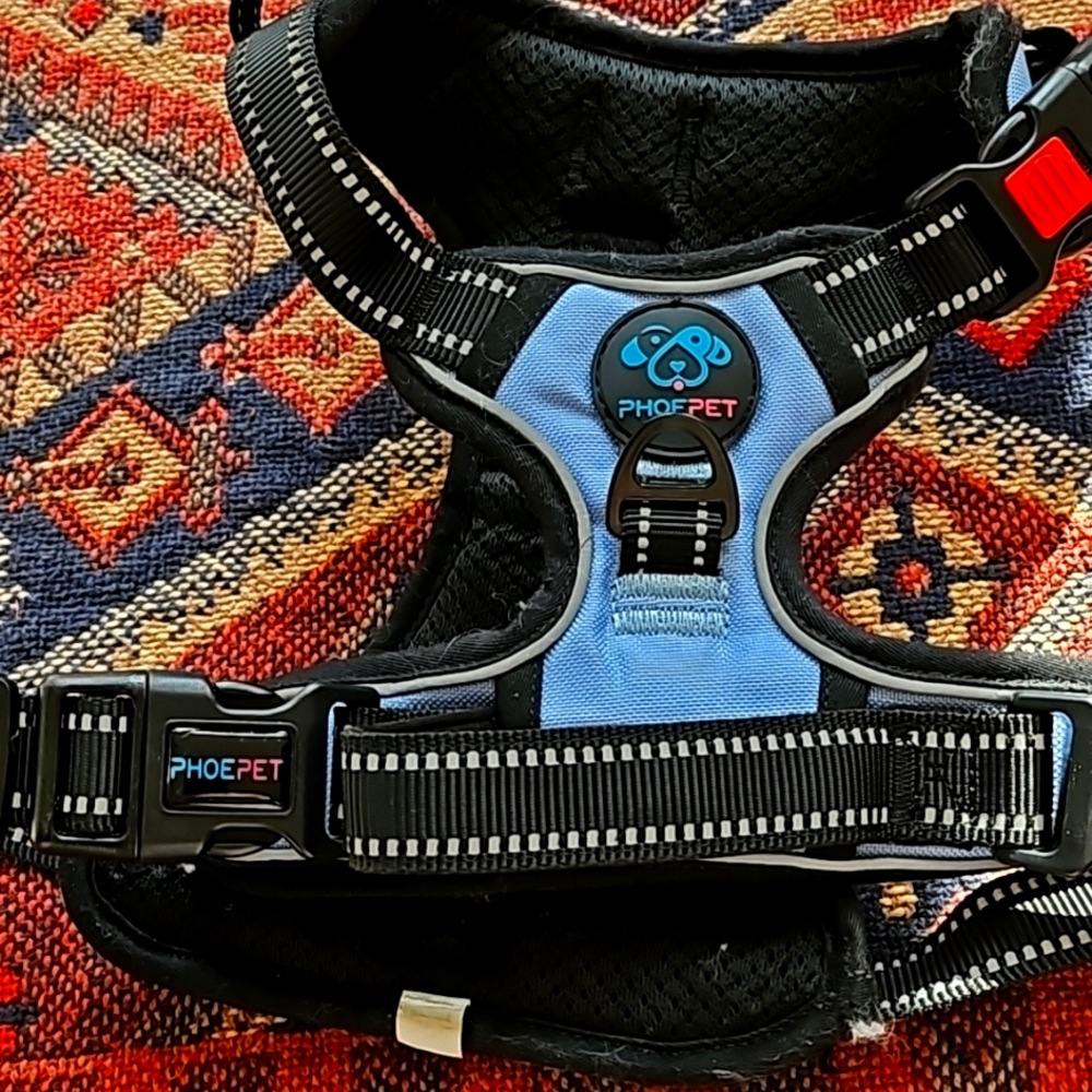 BLUE & black harness.